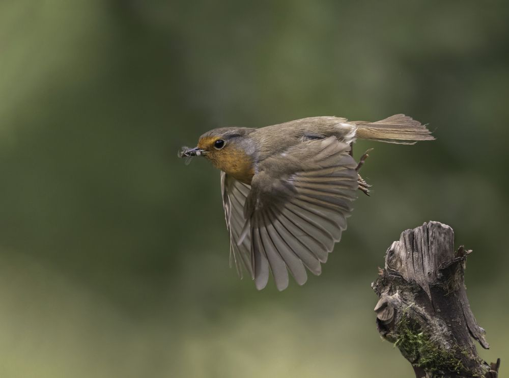 Photograph by Eddie Leach