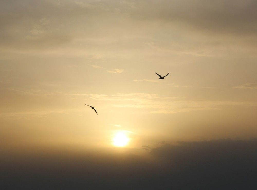 Photograph by Nuša Javornik