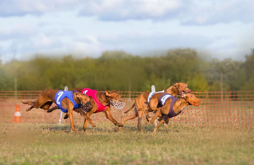 Фотография автора Yulia  Maximova