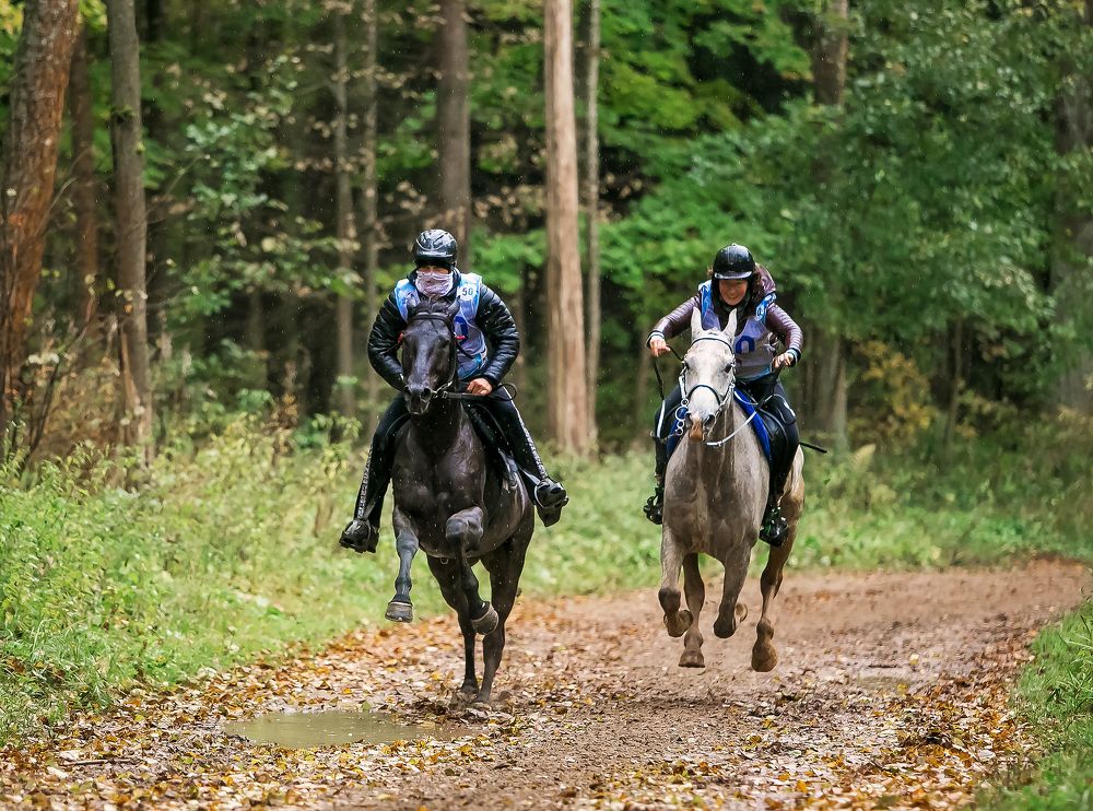 Фотография автора Yulia  Maximova