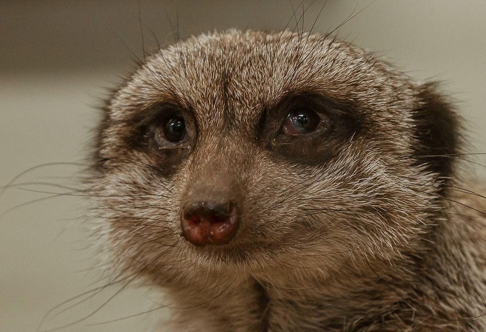 Photograph by juri kutukov