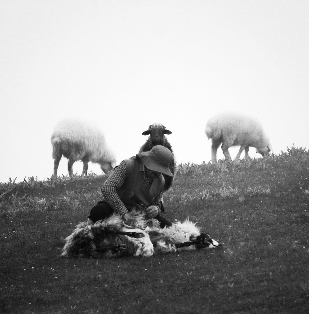 Photograph by Rastin Haghighi