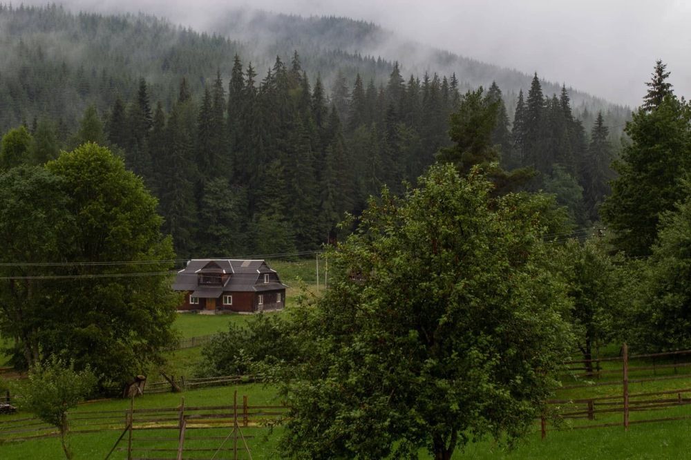 Photograph by Вікторія Бондаренко