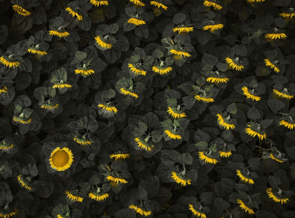 Бессонница