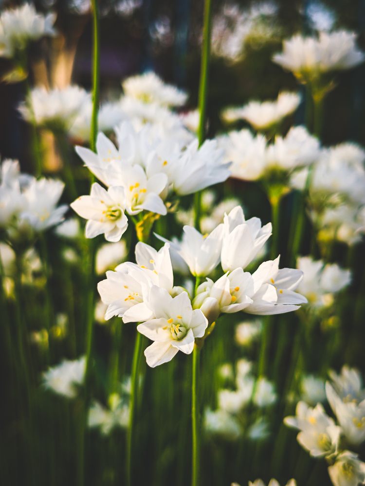 Photograph by Алексей Юдин