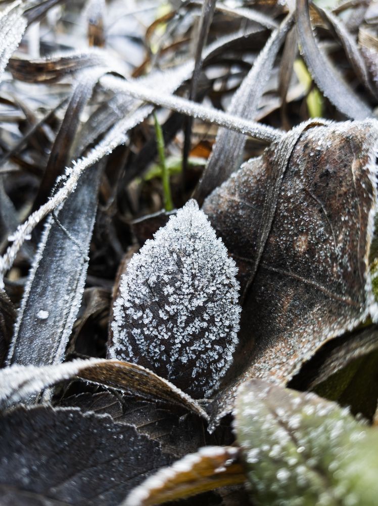 Photograph by Алексей Юдин