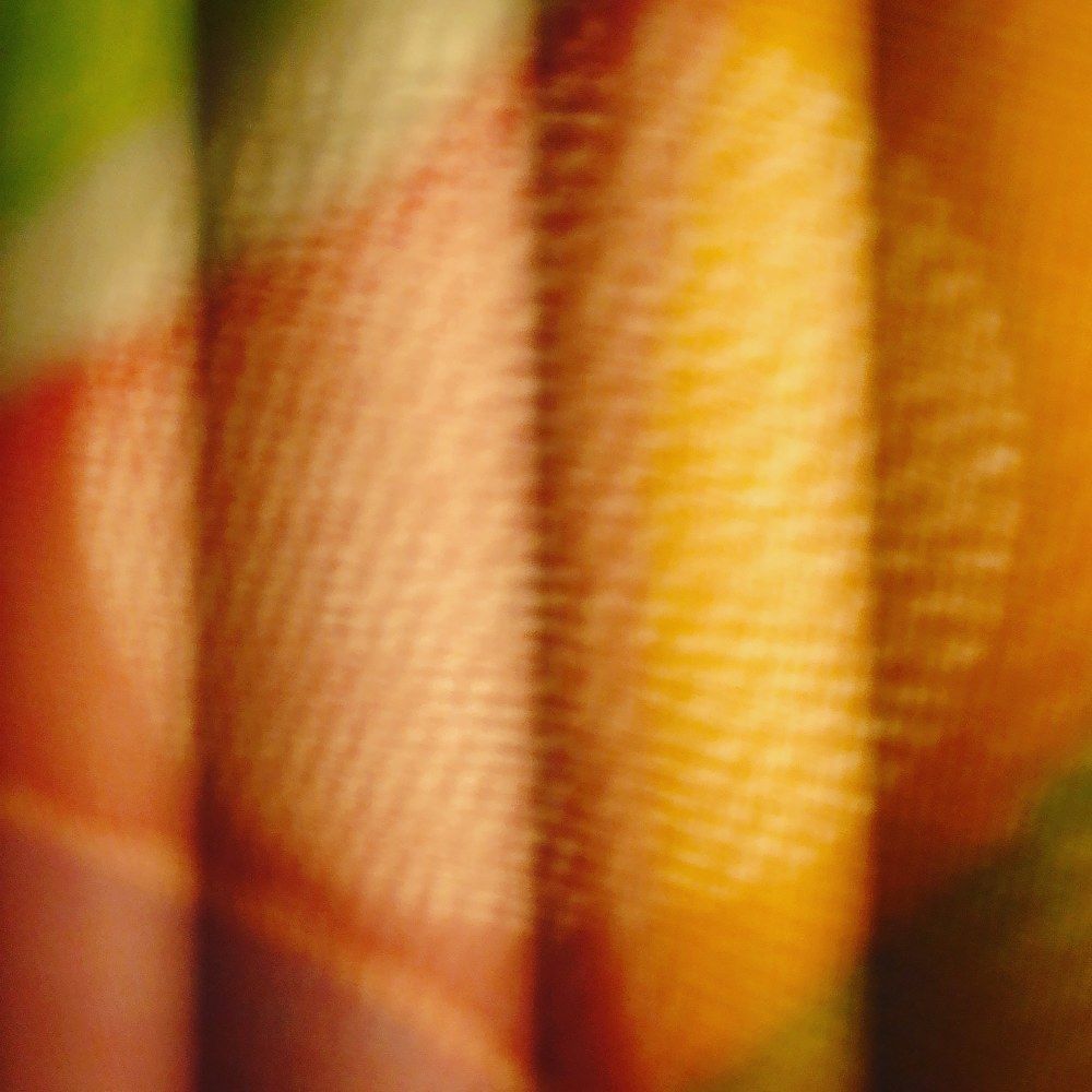 Photograph by Carlos Enrique Gozalo Ara