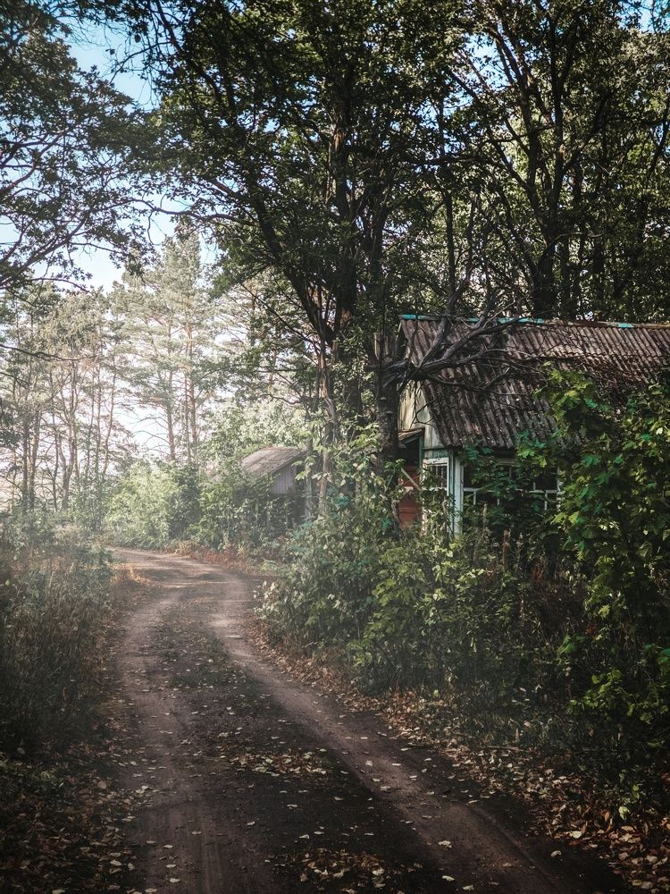 Photograph by Алексей Юдин