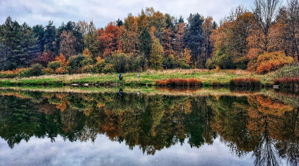 Pulse of Nature