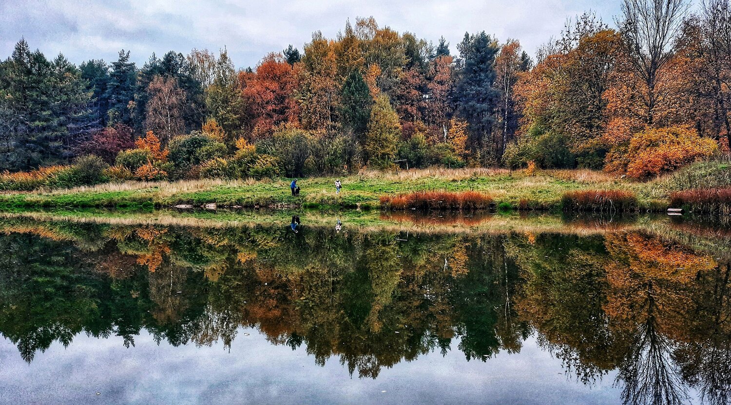 Pulse of Nature