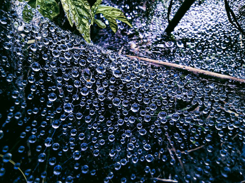 Photograph by Олександр Дормидонтов