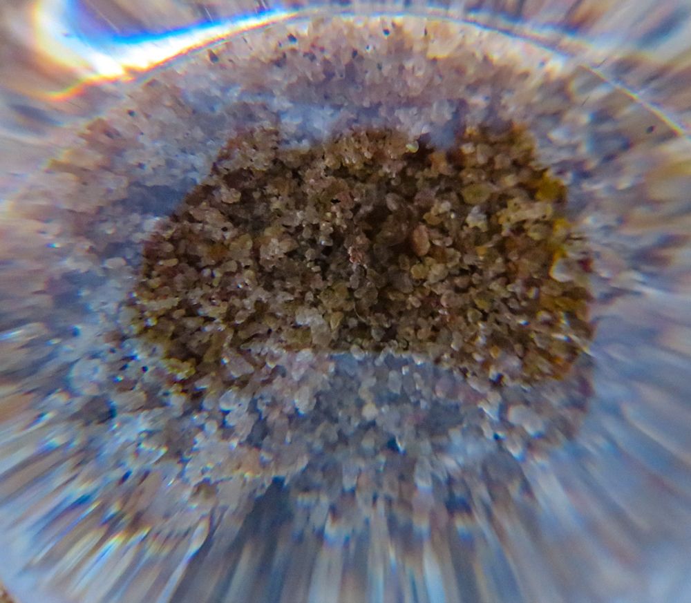 Photograph by Susmita Paul