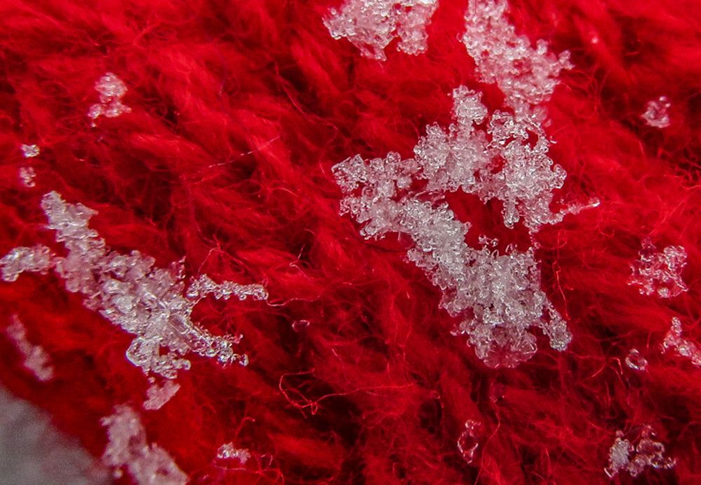 Photograph by Susmita Paul