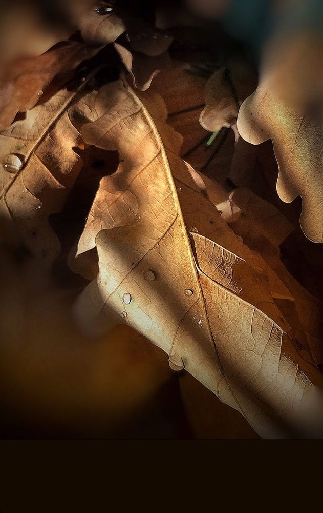 Photograph by Наталя Мартинчик