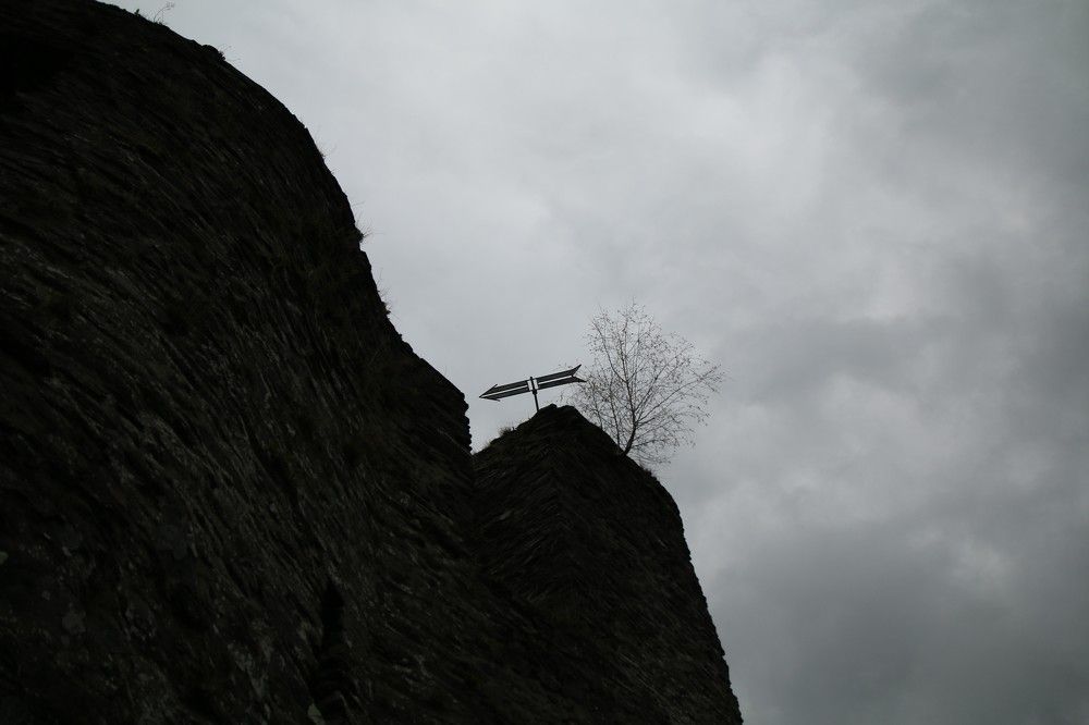 Photograph by Marie G