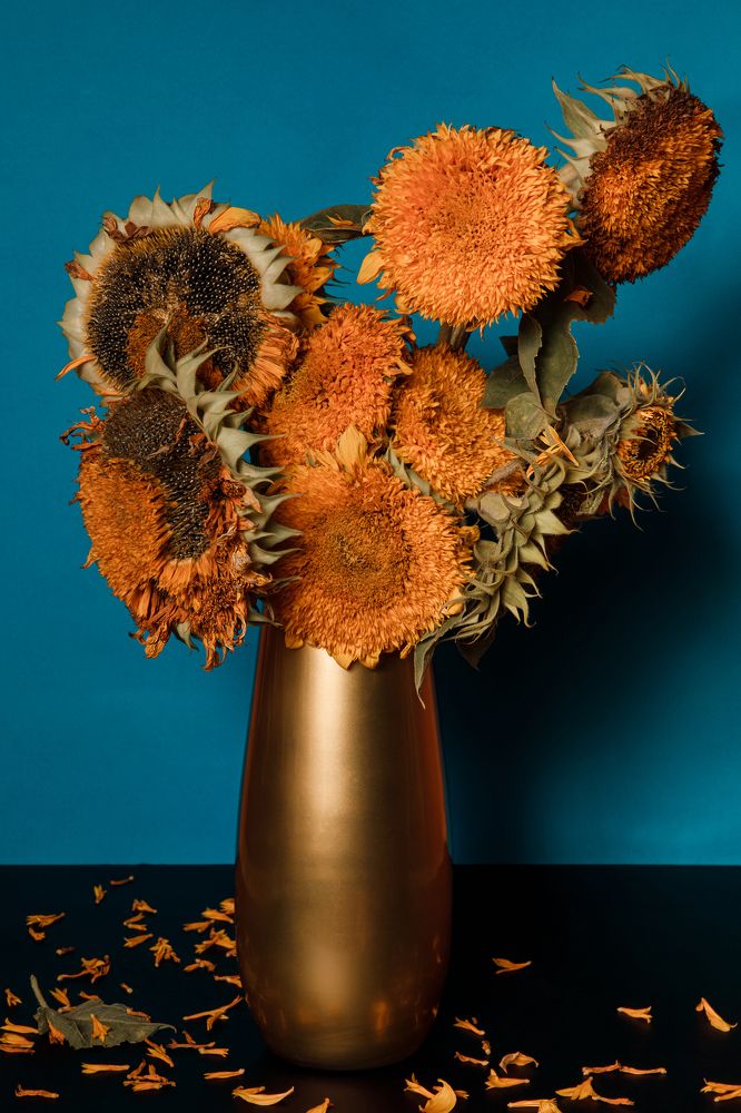 Фотография автора Татьяна Жёлтикова