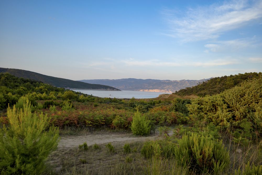 Photograph by Илья Курлин