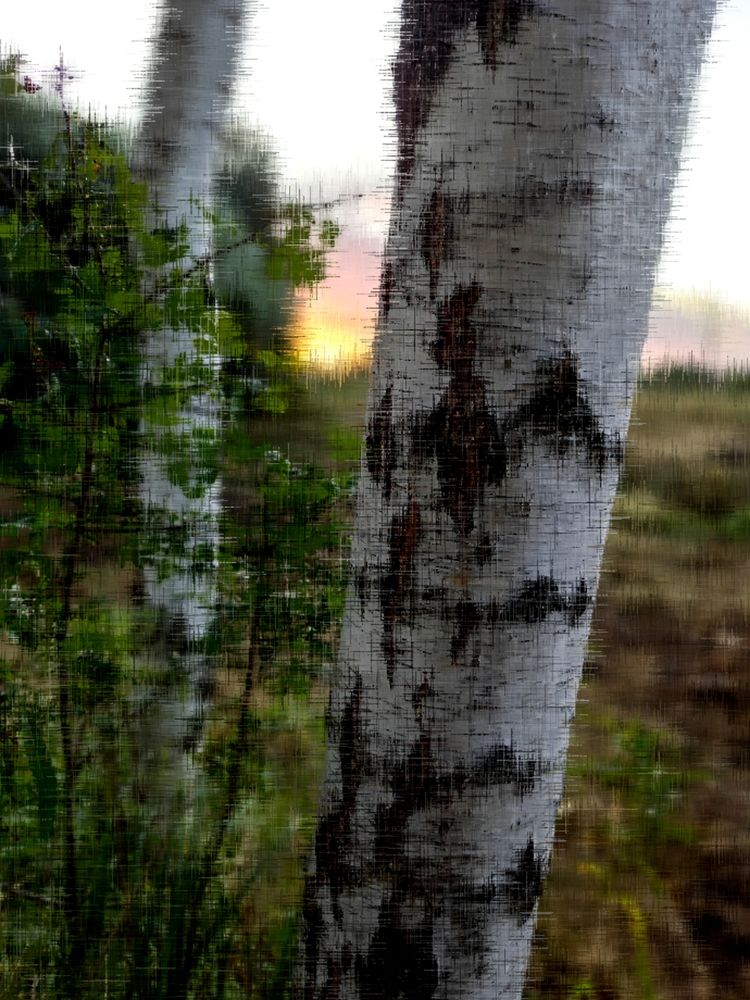 Photograph by Татьяна Круглова