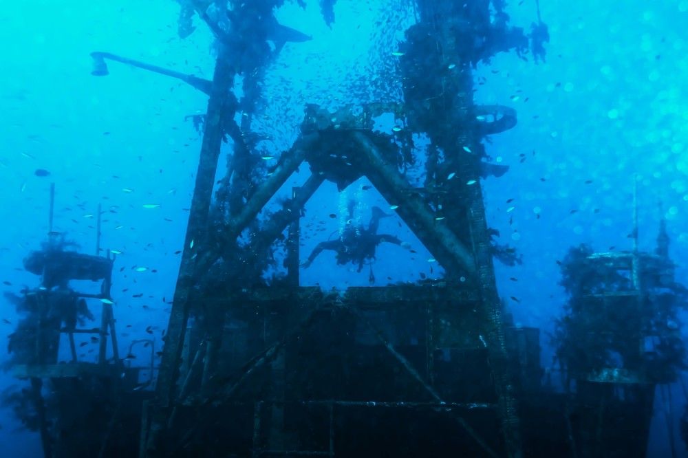 Photograph by Александр Гольдштейн