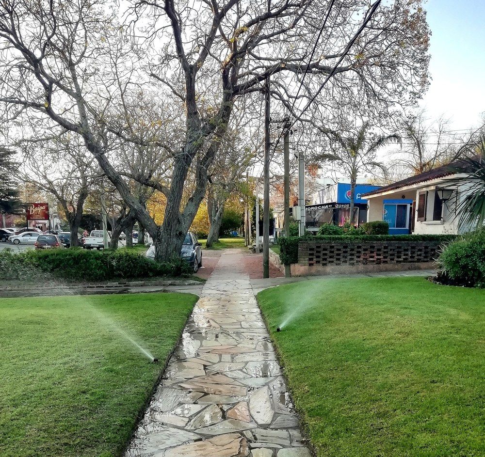 Photograph by Alicia Muñoz