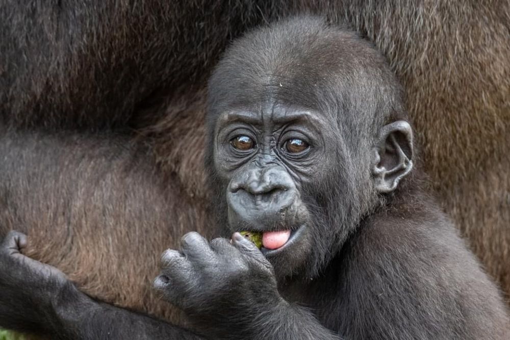 Photograph by Janet Williams