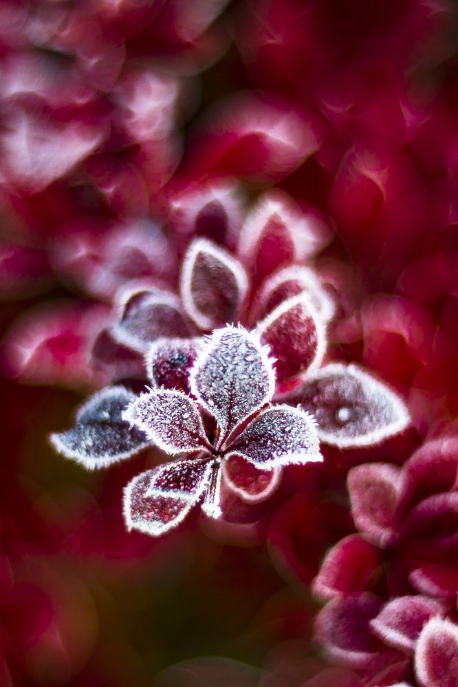 Photograph by Александр Игнатьев