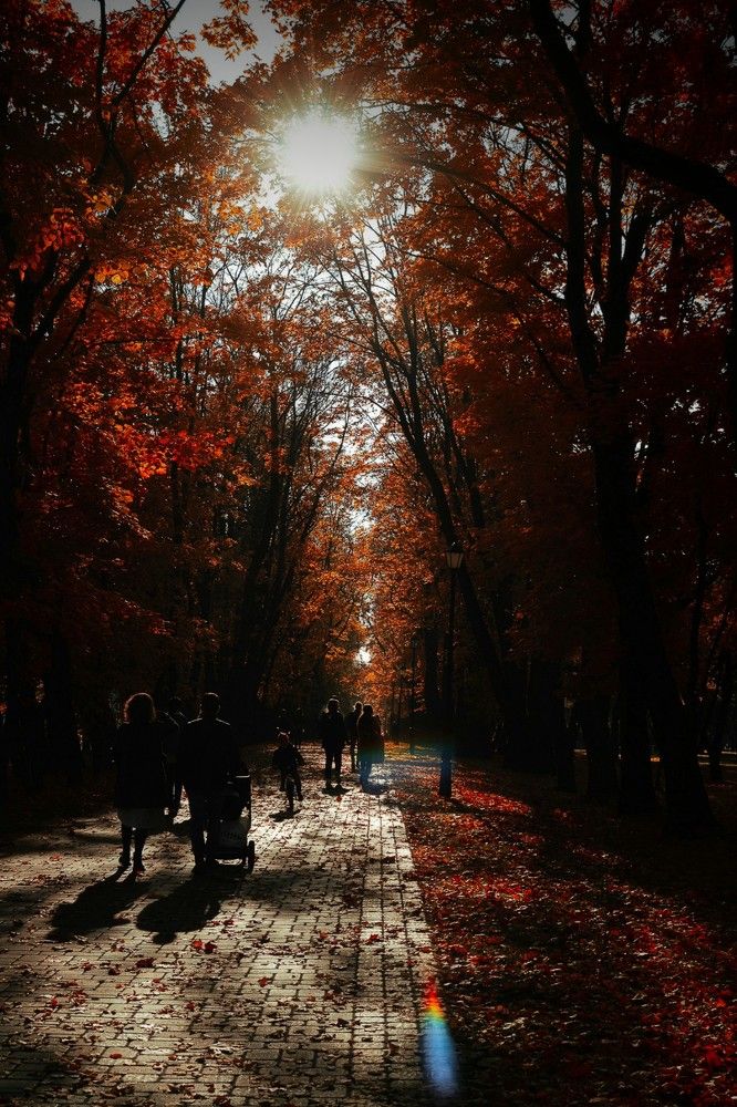 Photograph by Андрей