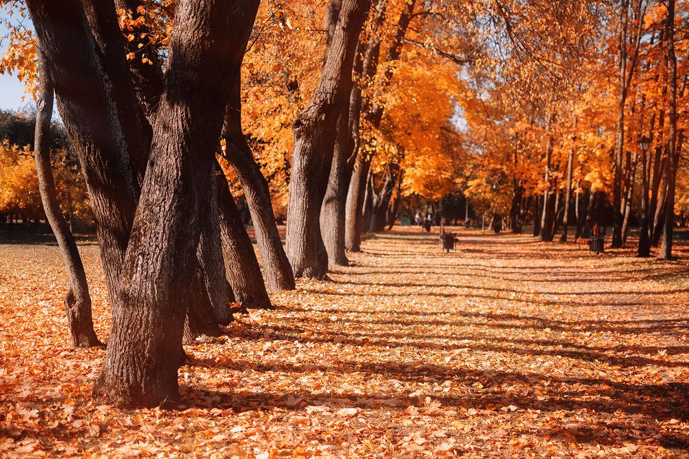 Photograph by Андрей