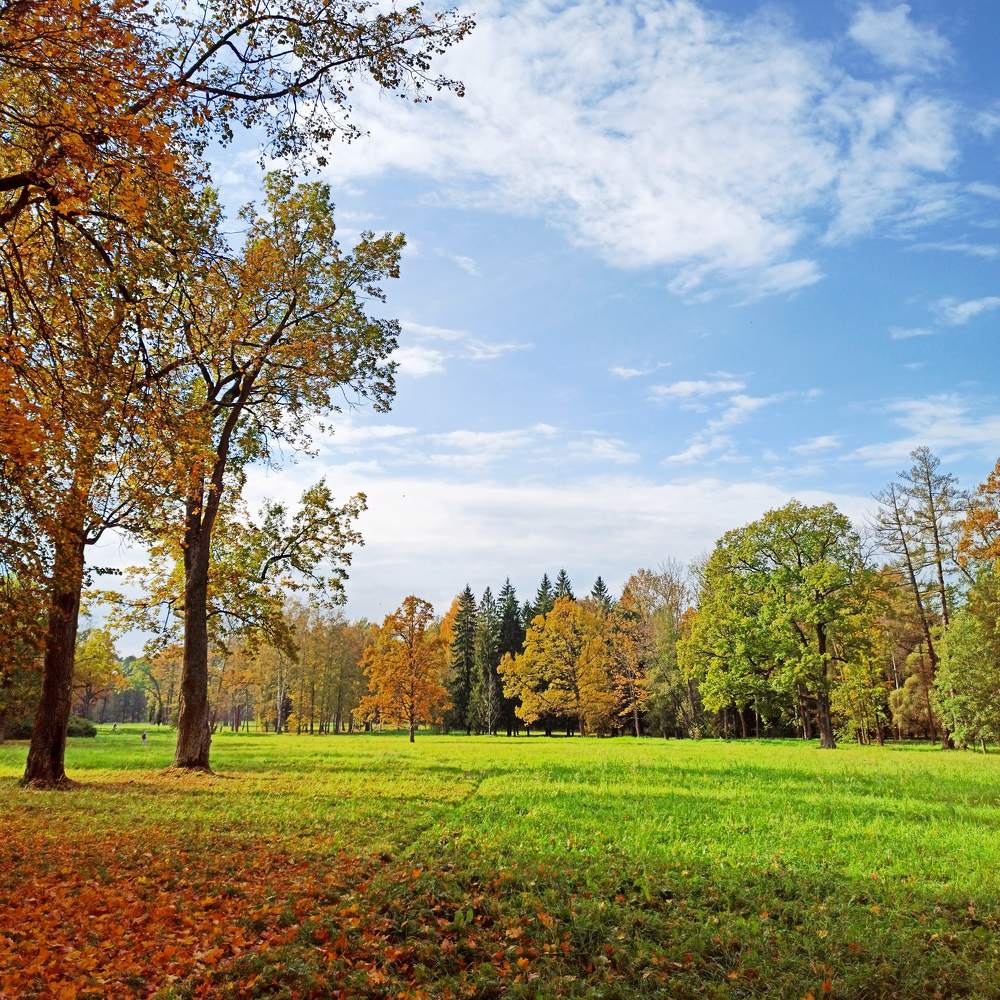 Photograph by Ксения Щеголева