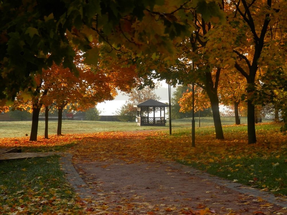 Photograph by Наталия Калюкина