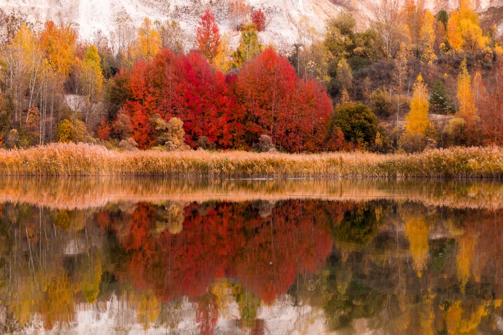 Photograph by Дмитрий Тимин