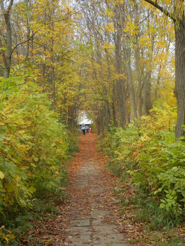 Photograph by Наталия Калюкина