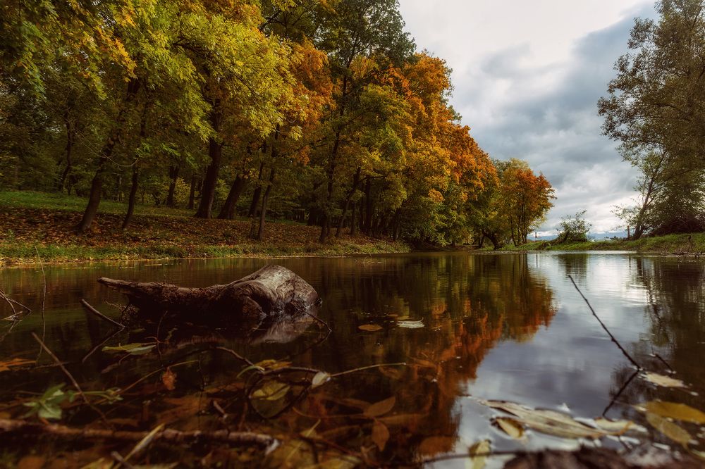 Photograph by Сергей Бибиков