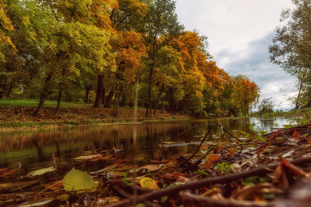 Photograph by Сергей Бибиков