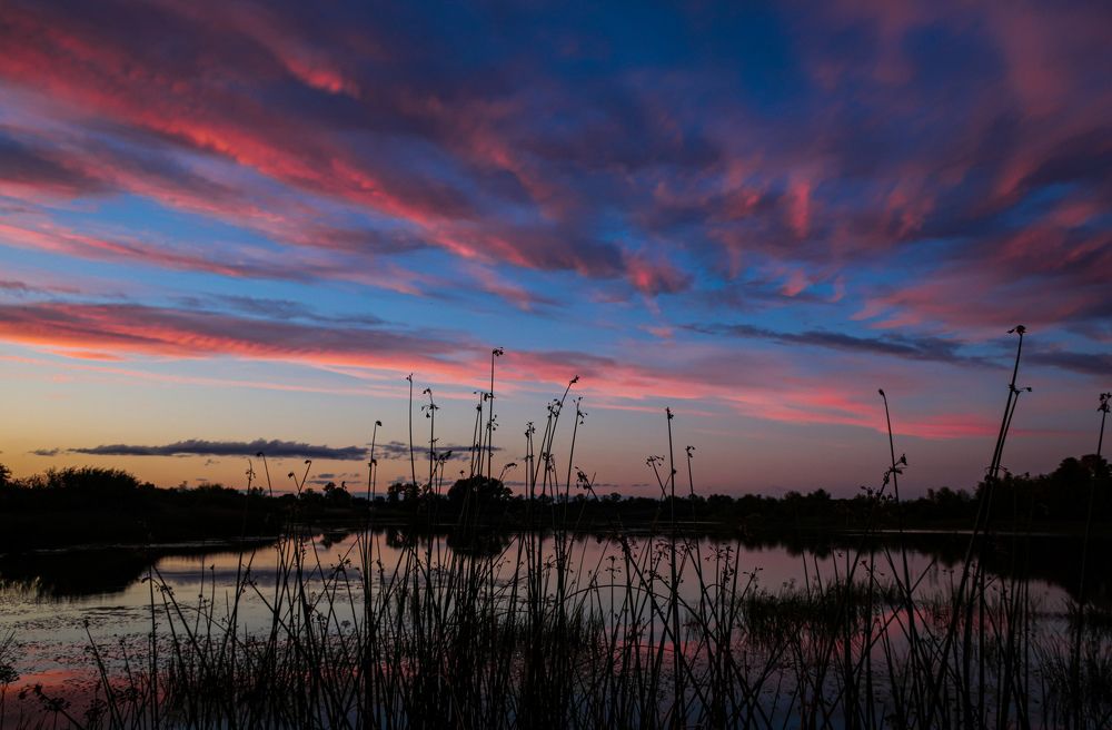 Photograph by Владимир Коновалов