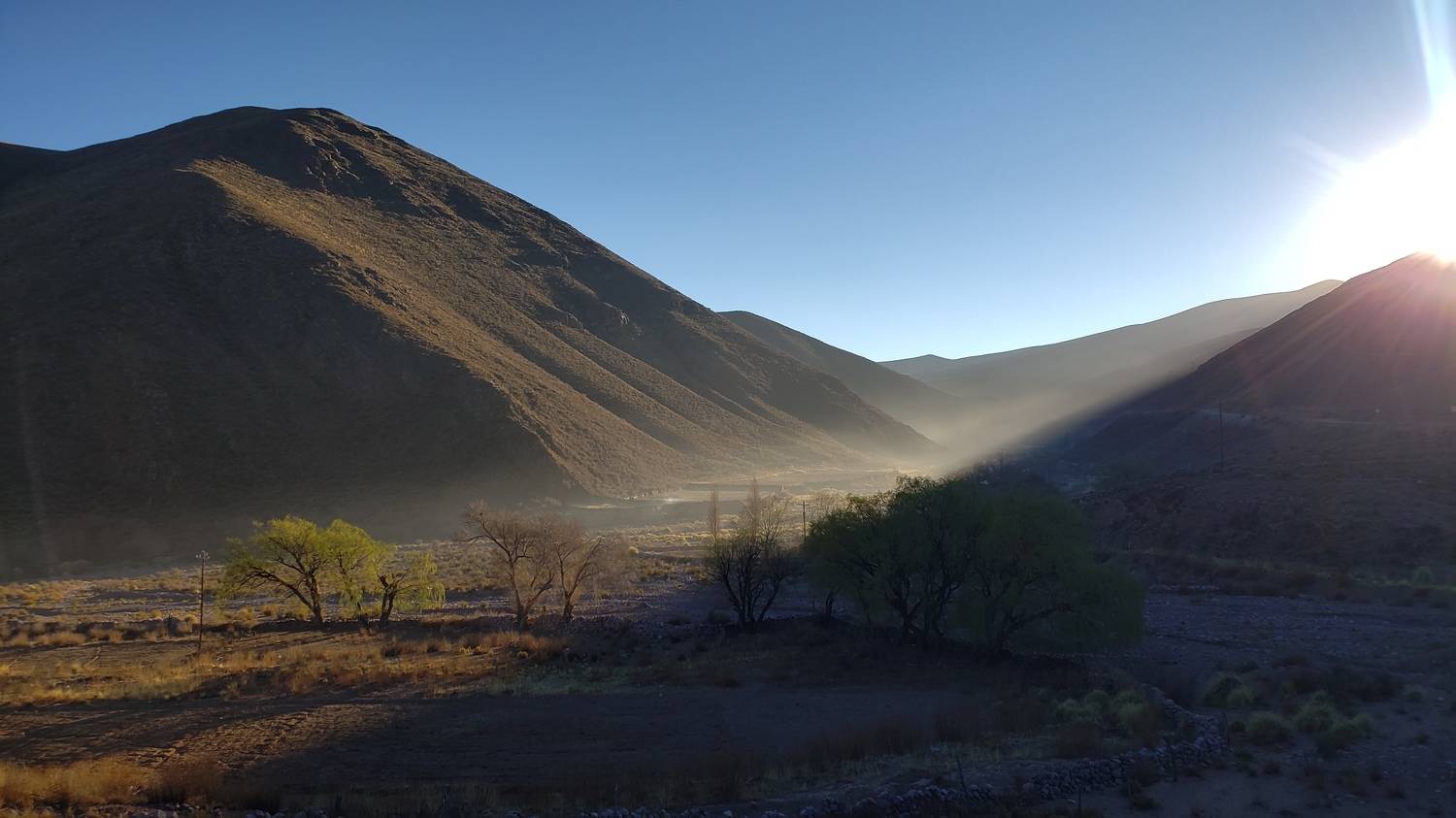 Despertar