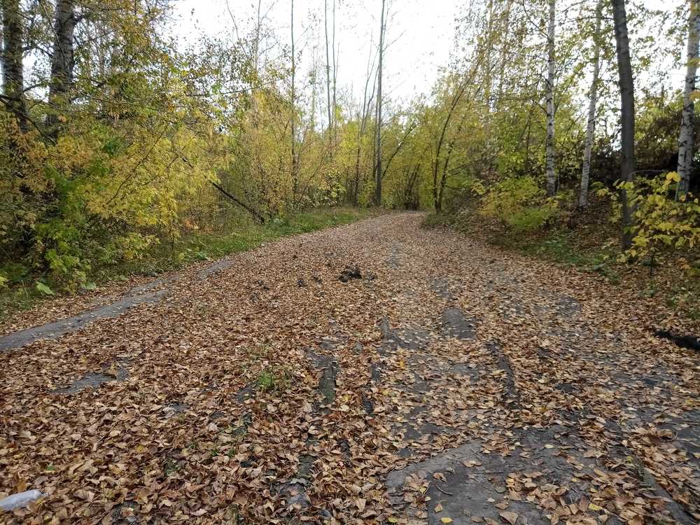 Photograph by Илья Поляков