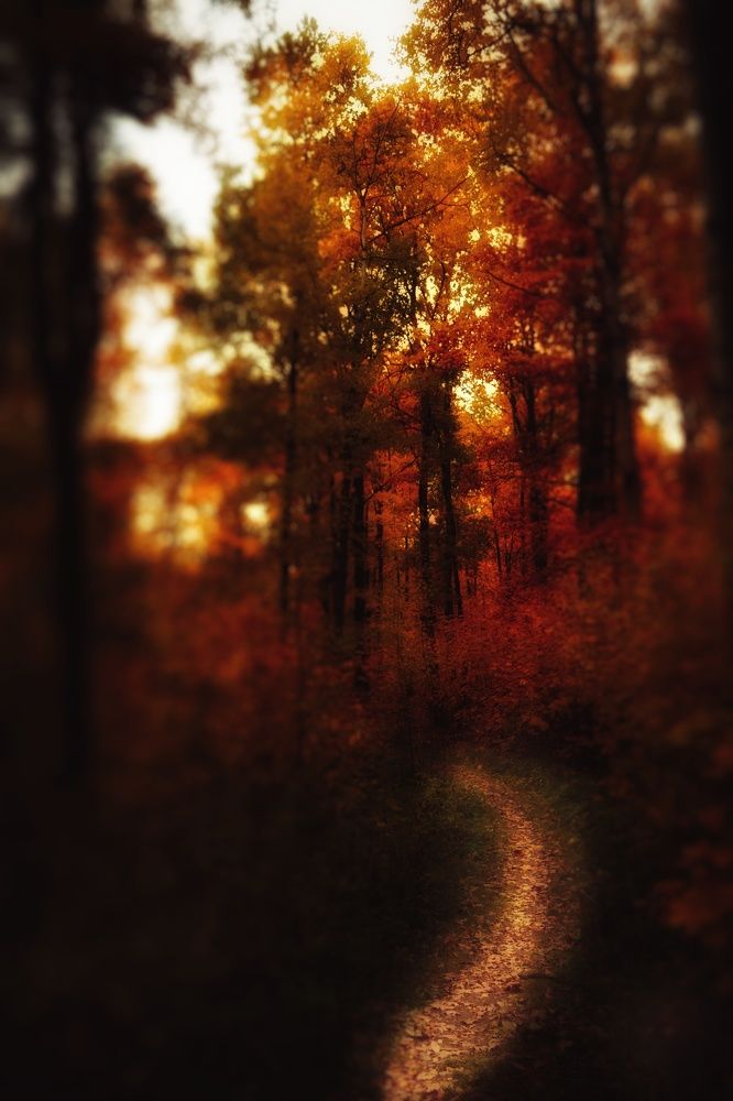 Photograph by Дайана