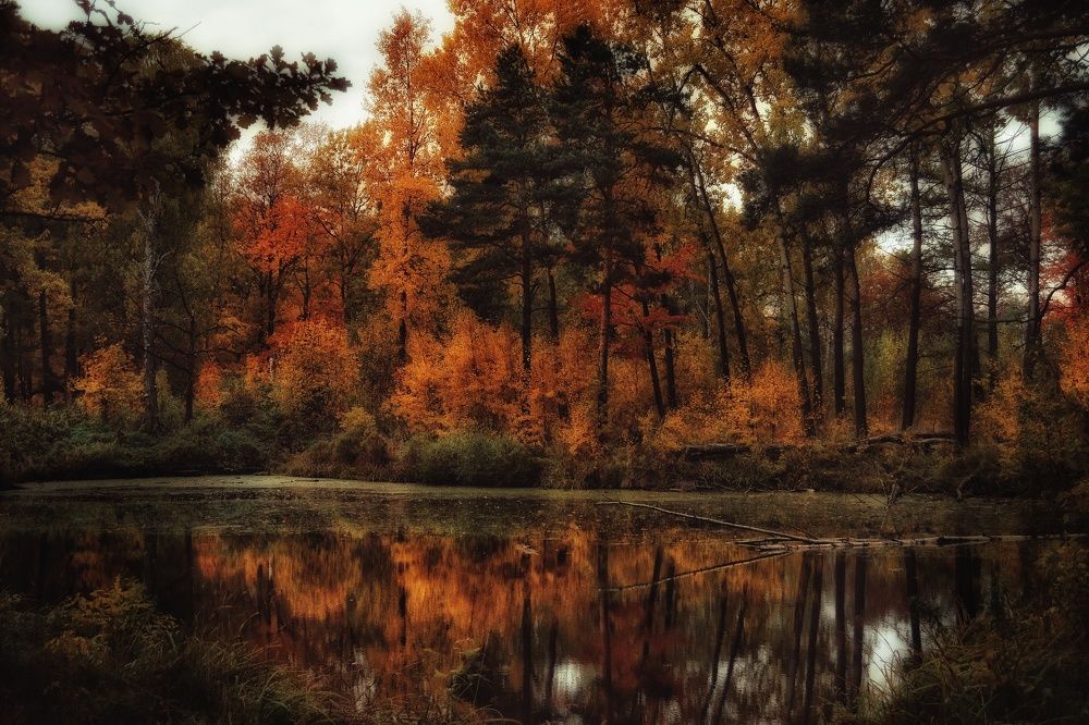 Photograph by Дайана