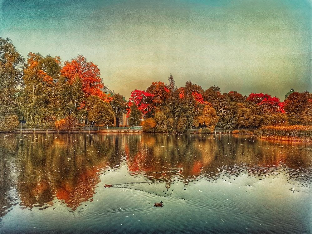 Photograph by Дайана