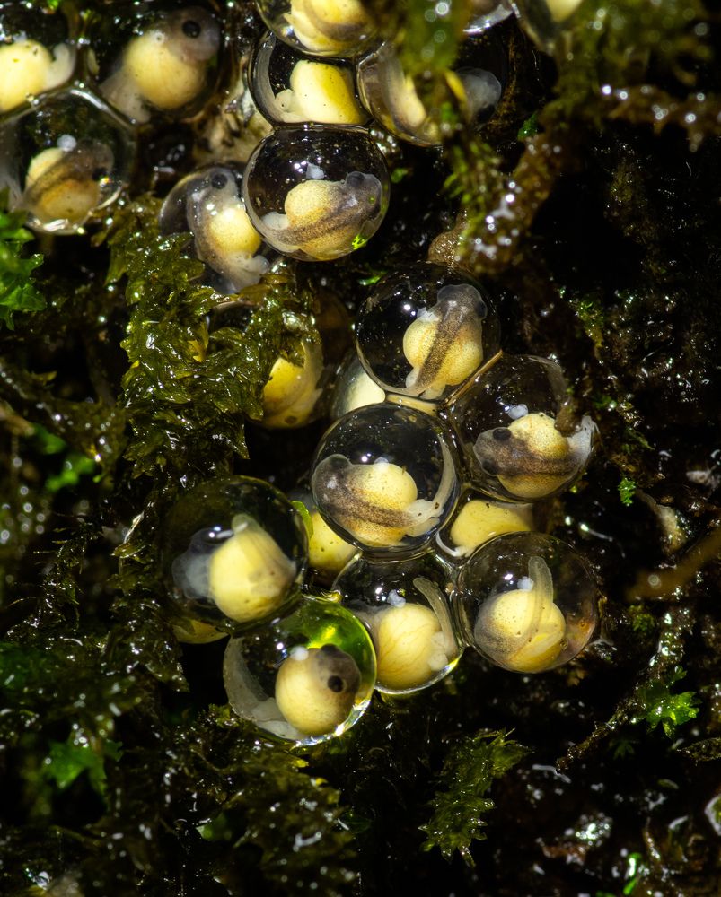 Photograph by Dipanjan Pal