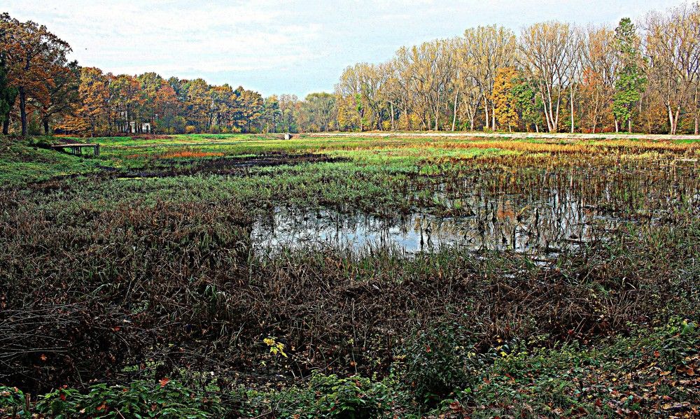 Photograph by Сергей Рапопорт