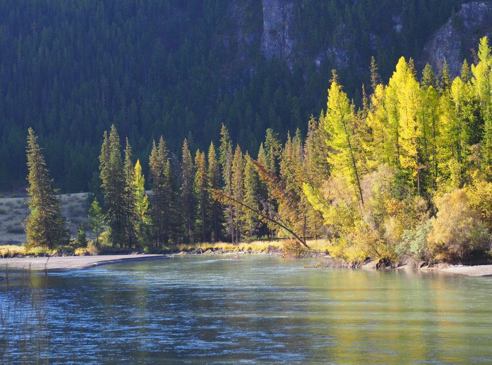 Photograph by Екатерина Шмелева