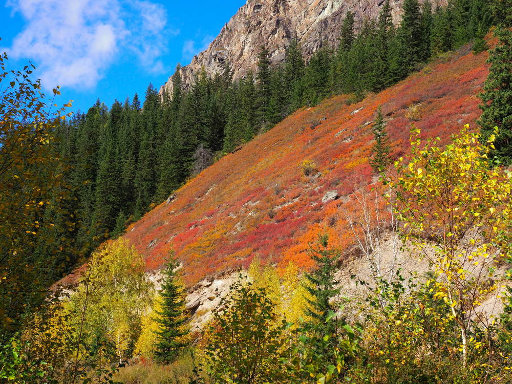Photograph by Екатерина Шмелева