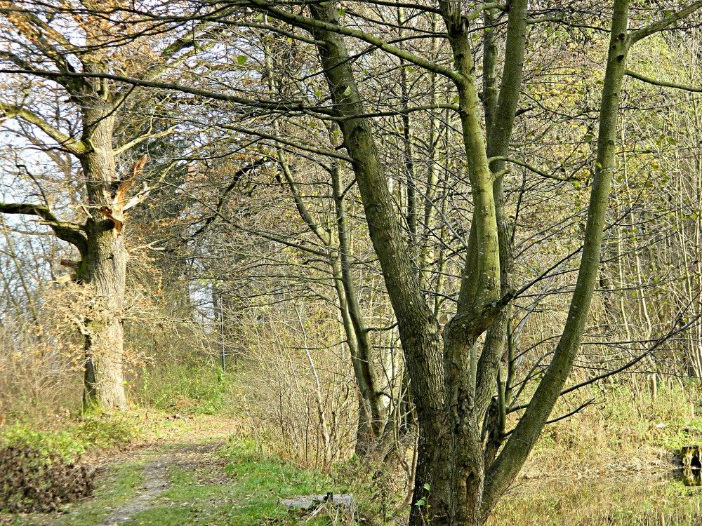 Photograph by Сергей Рапопорт