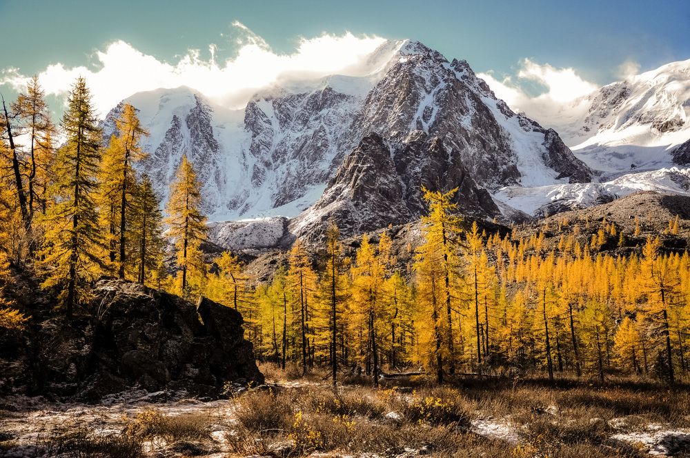 Первый снег и золотая осень на Алтае
