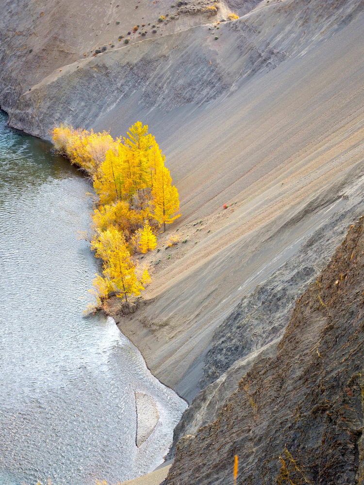 Photograph by Екатерина Шмелева