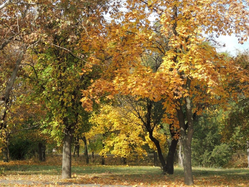 Photograph by Юрий Тихонов