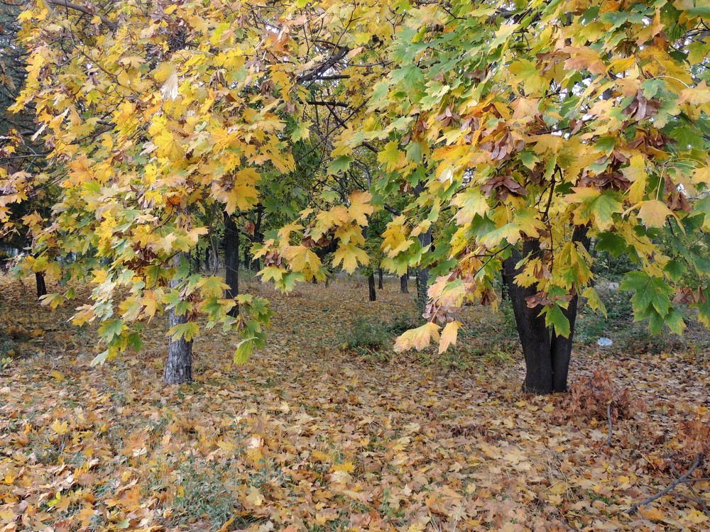 Photograph by Юрий Тихонов