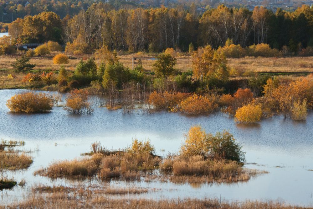 Photograph by Алёна Гильмуллина